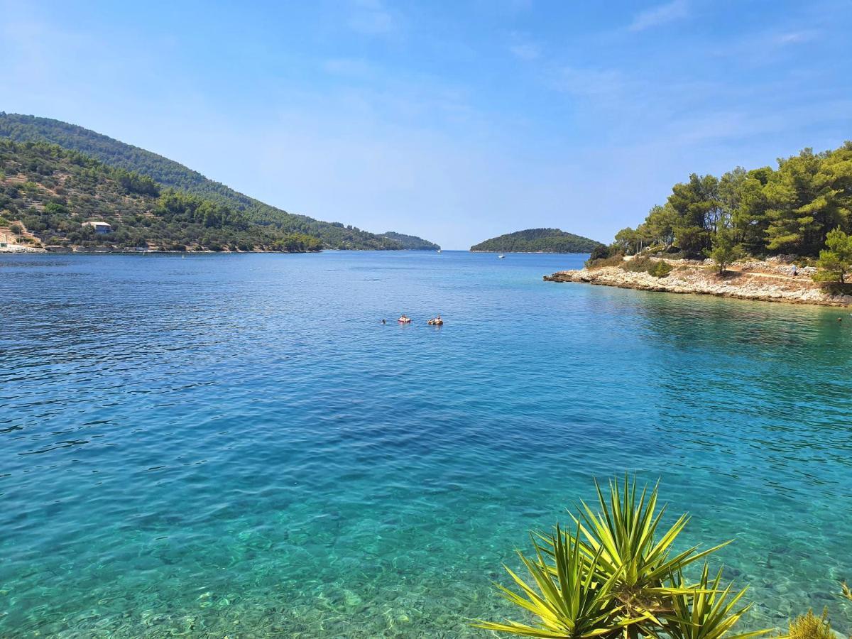 尼亚卢卡Casa Naranja Croatia公寓 外观 照片