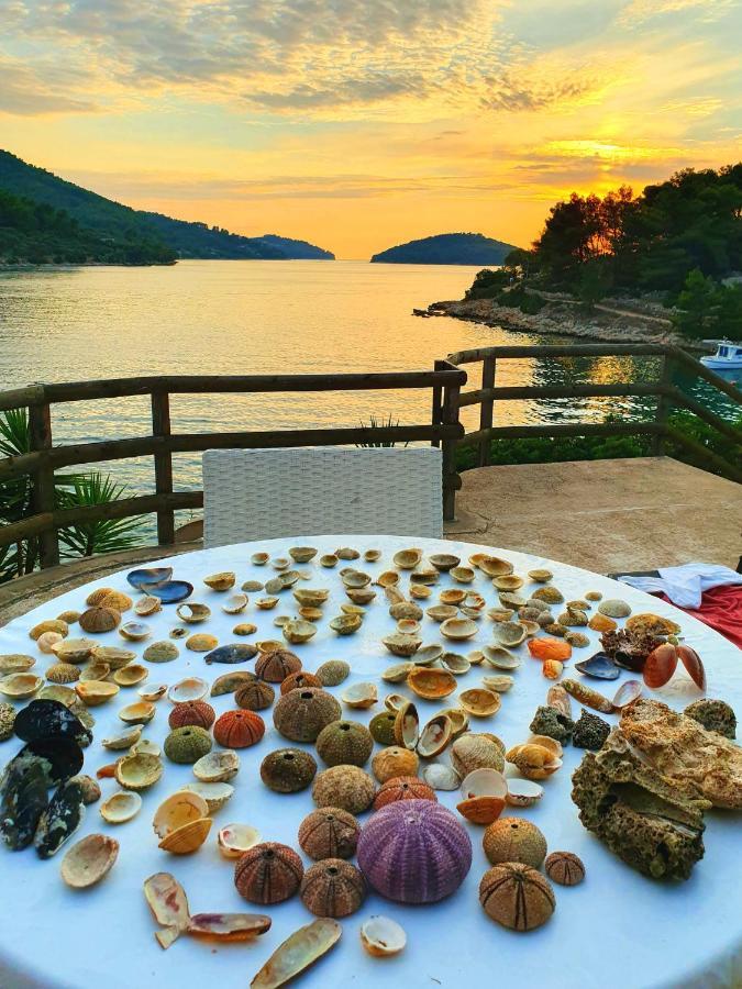 尼亚卢卡Casa Naranja Croatia公寓 外观 照片